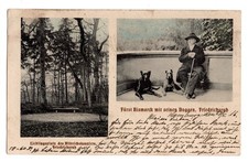 AK Fürst Bismarck mit Doggen