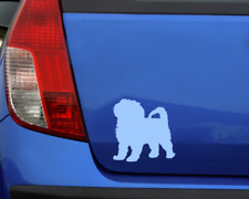 Samunshi Shih-Tzu Hunde