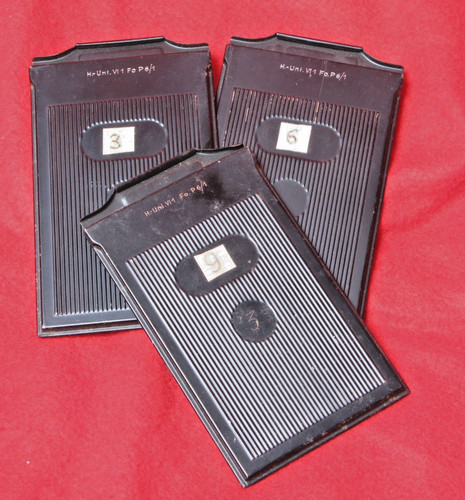 X 12 cm - ca.,