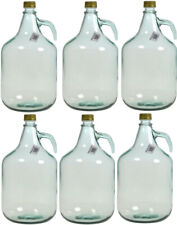 6 STÜCK Gärballon Weinballon Flasche Glasballon  Glas Ballon  Glasflasche 5L NEU