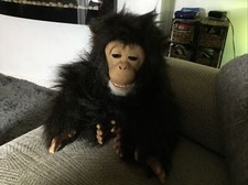 Furreal friends cuddle chimp - friends,