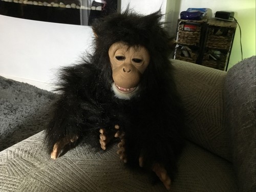 Furreal friends cuddle chimp - friends,