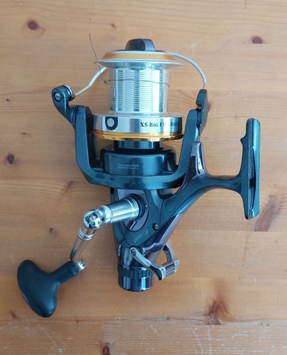 Kogha big fish - big,