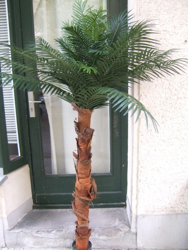 Künstliche palme 95cm - künstliche, ca