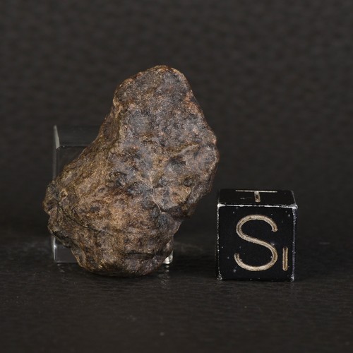 Individuelle meteorite amgala - meteorite,