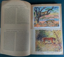 Voss Kunstbilder