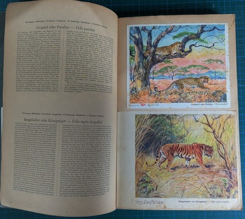 Voss kunstbilder - voss,