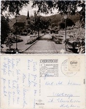 Foto Ansichtskarte Zell am Harmersbach Partie im Kurpark 1961