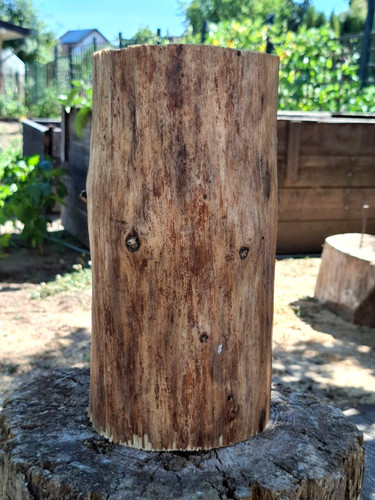 Holz tanne baumstamm deko - holz,
