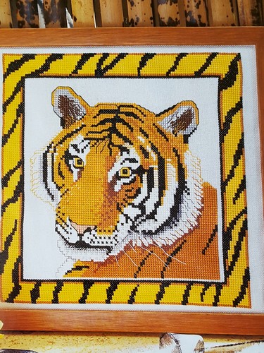 Majestätischer tiger - majestätischer,