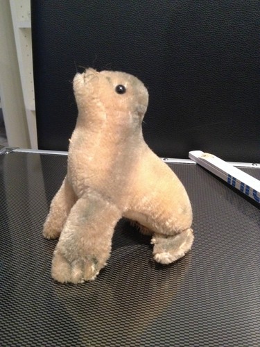 Steiff robbe seehund - /,