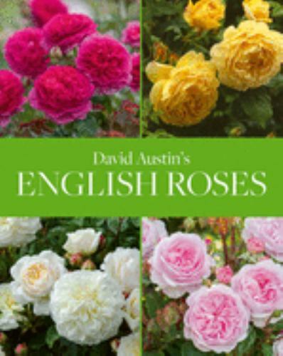 David austin english roses - david, austin's