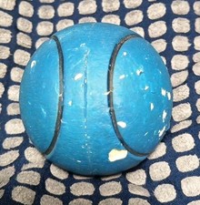 Hundespielzeug Ball Blau