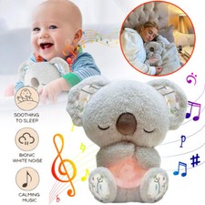 Beruhigender Koala Schlummer