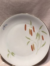 arzberg Kuchenteller 19 Cm