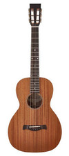 Richwood P-50 Mahagoni Master