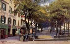 Ak Funchal Insel Madeira