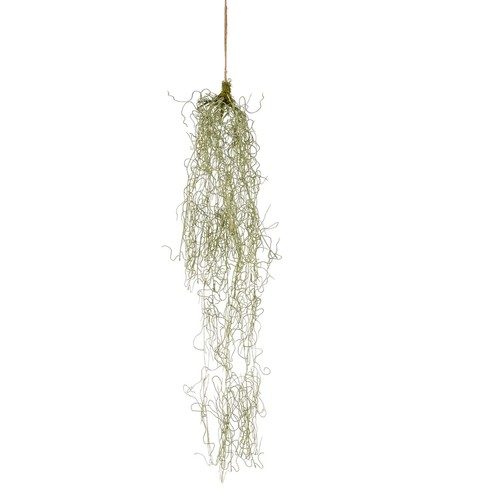 Künstliche tillandsia - künstliche,