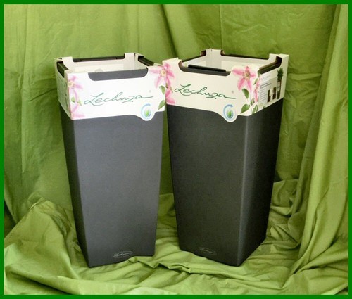 Lechuza - 2x(a,