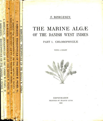 Borgesen the marine algae - borgesen,,