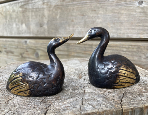 Paar pärchen schwan - 1, swan
