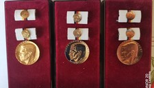 Dr.Theodor-Neubauer-Medaille