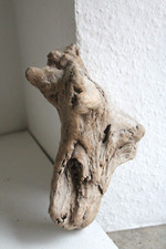 Schwemmholz Treibholz