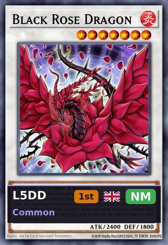 Black rose dragon - dragon, (v.2