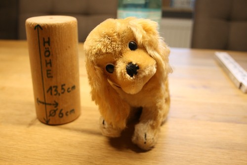 Teddybären