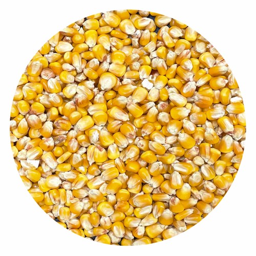 Körnermais futtermais 25 kg - futtermais,