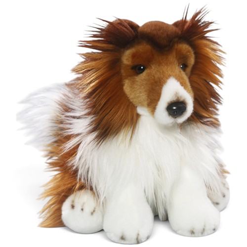 Carl dick collie - dick,