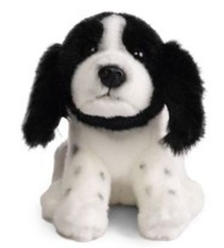 Plüschtier cocker spaniel - plüschtier,