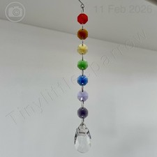 Bailey Lasergravur Pfote