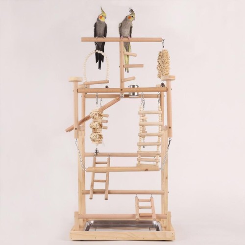 Haustier papagei playstand - papagei,