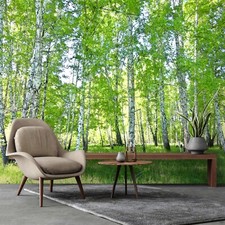 Fototapete wald sonne grün - grün, 3d