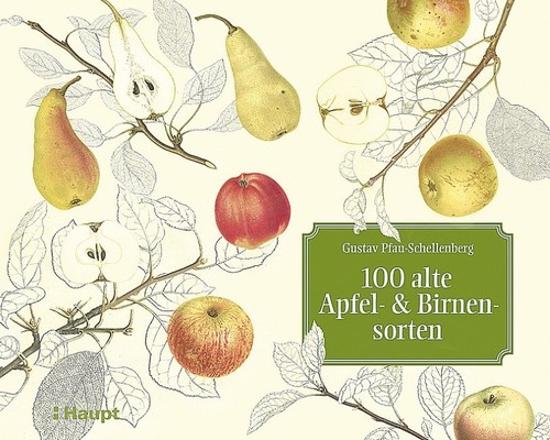 Gustav pfau schellenberg 100 - /,