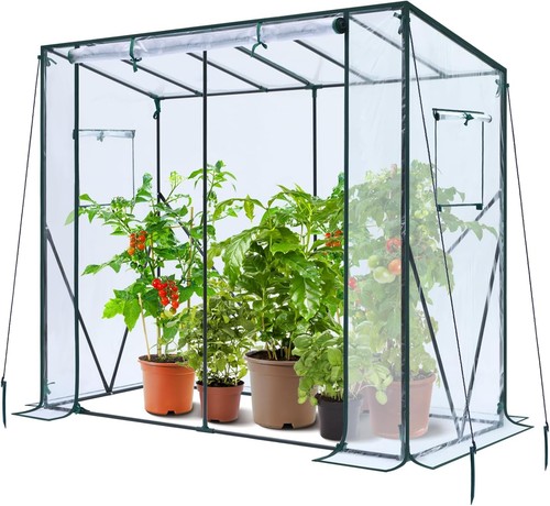 Tomatengewächshaus