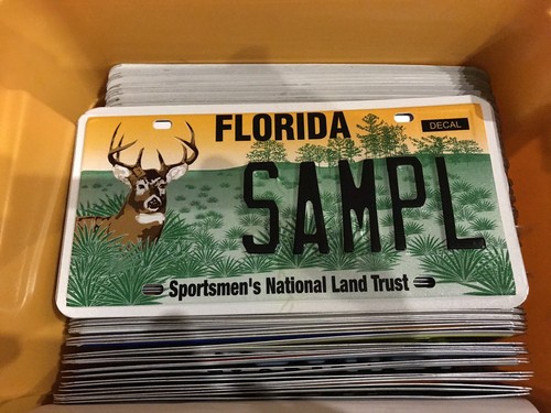 Nummernschild usa florida - nummernschild,