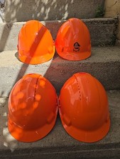 Sicherheitshelm /Forsthelm