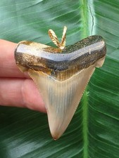 5,0 cm facettenreich