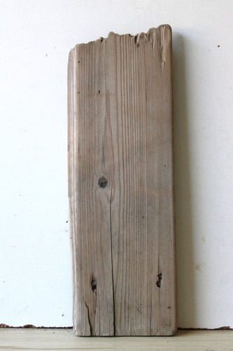 Treibholz schwemmholz - treibholz,