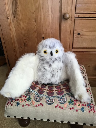 Vintage furry folks schneeeule - furry,