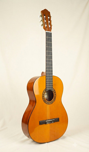 Salvador klassische gitarre - salvador,