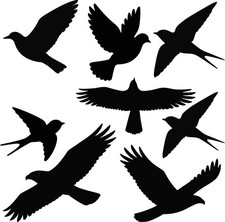 Aufkleber vogelschutzaufkleber - aufkleber,
