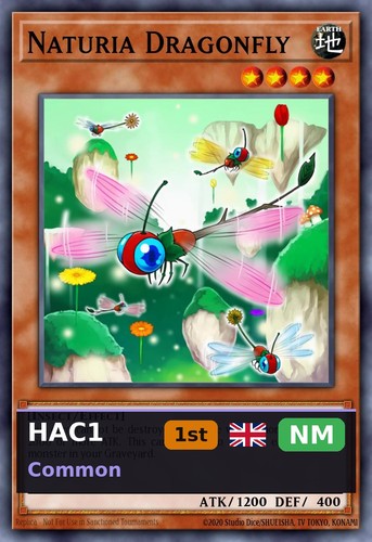 Naturia dragonfly - dragonfly, (v.1