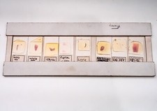 8 Histologie Mikroskop Objektträger Set professionell Proben vorbereitet etikettierte Lunge