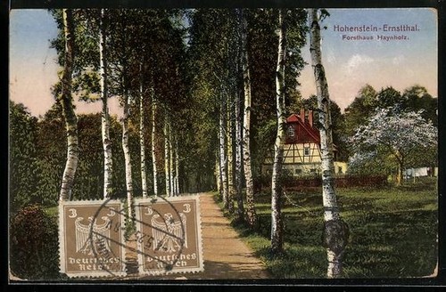 Hohenstein-Ernstthal