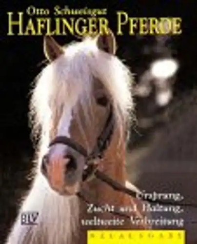 Haflinger pferde ursprung - haflinger,
