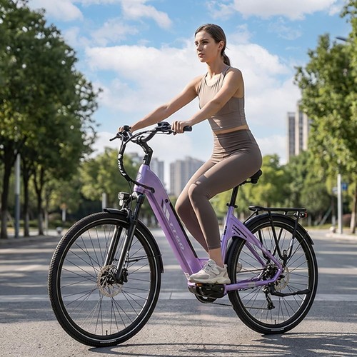 Zoll citybike 250w36v18ah - zoll, e-citybike