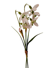 Schneeglöckchen künstlich 30cm Frühlingsdeko